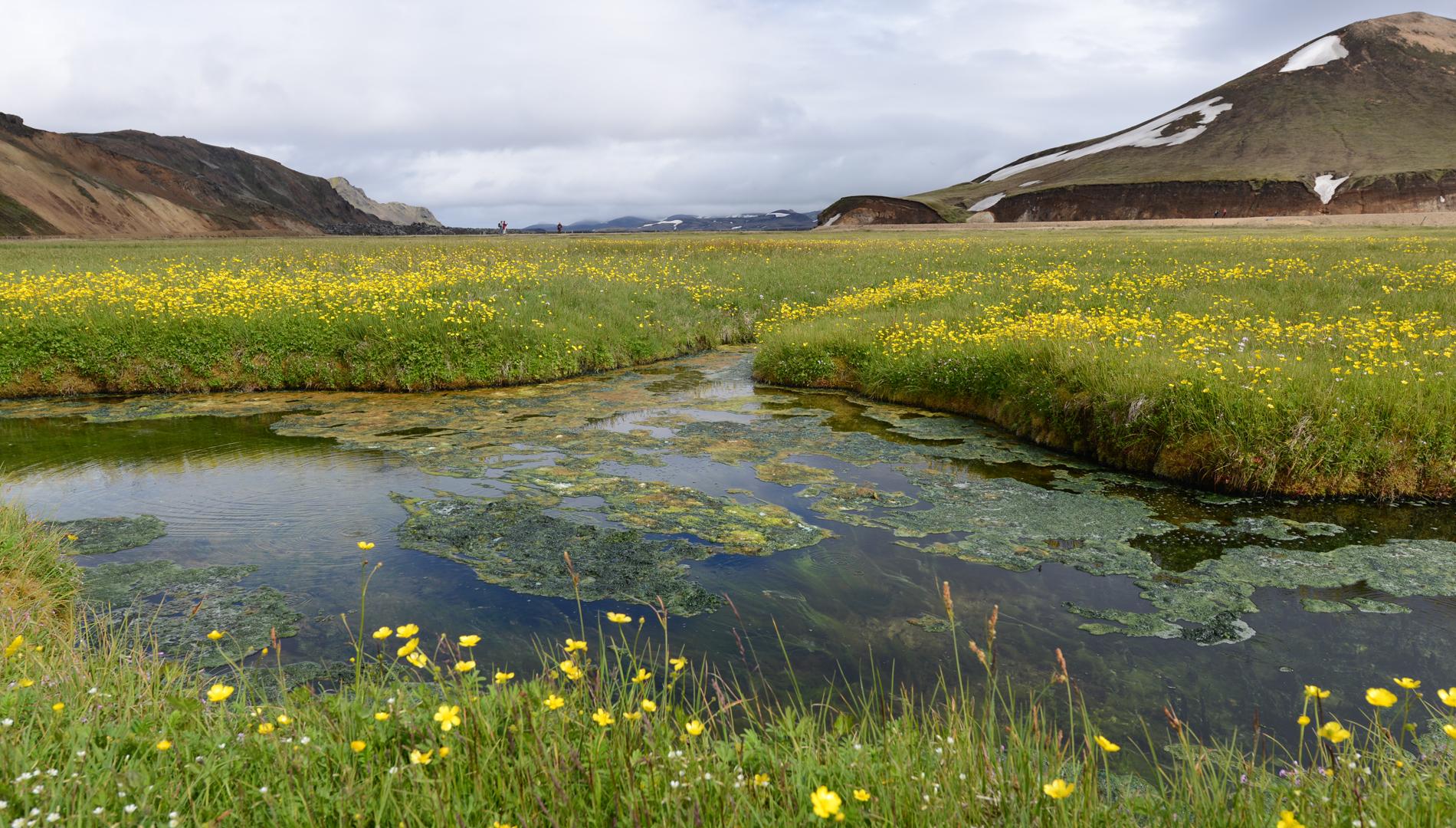 Islande  ---   Le trek de Landmannalaugar