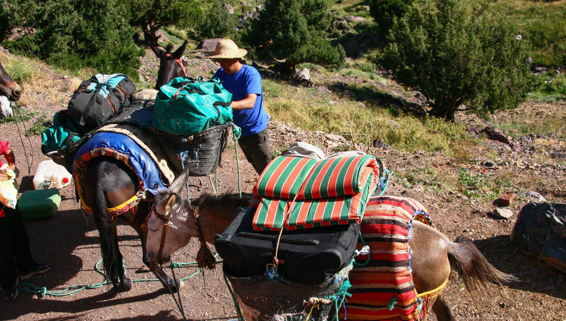 Les villages et vallées du Toubkal ( Haut Atlas - Maroc )