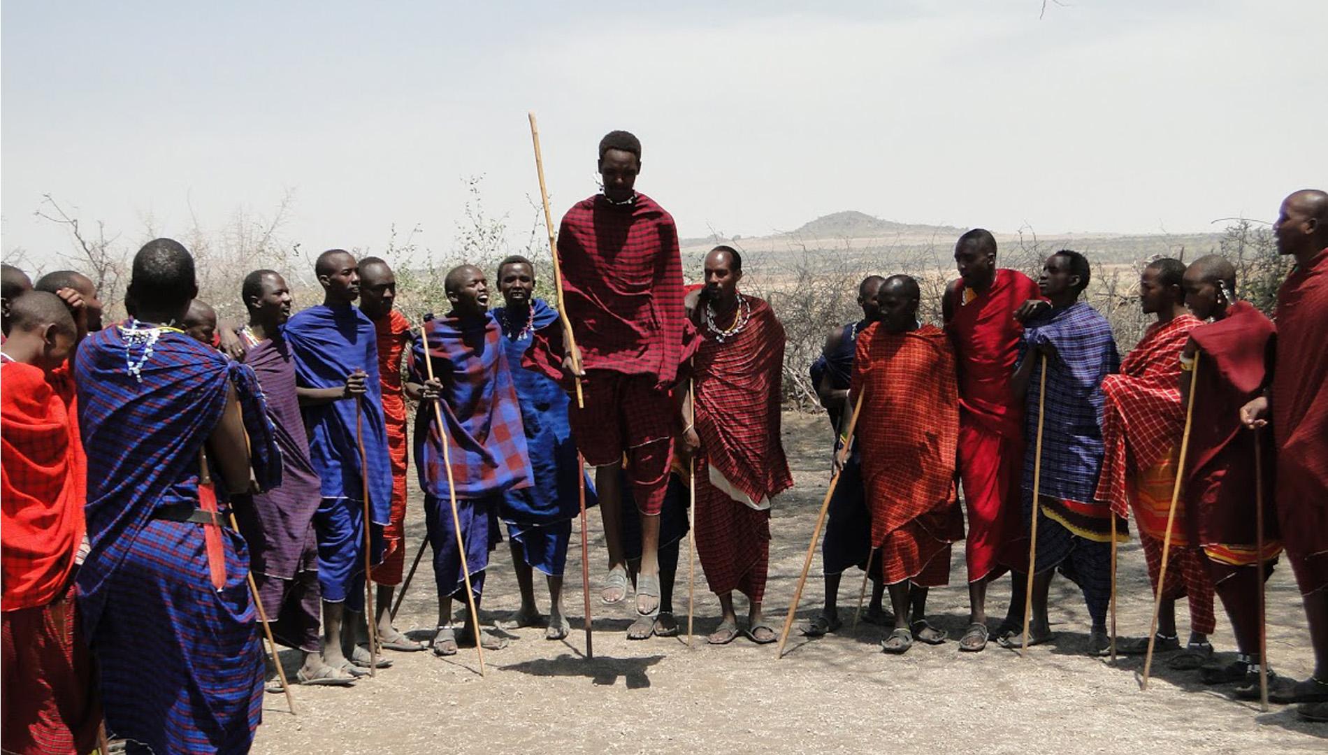 Un safari en Tanzanie : quelle aventure formidable!!