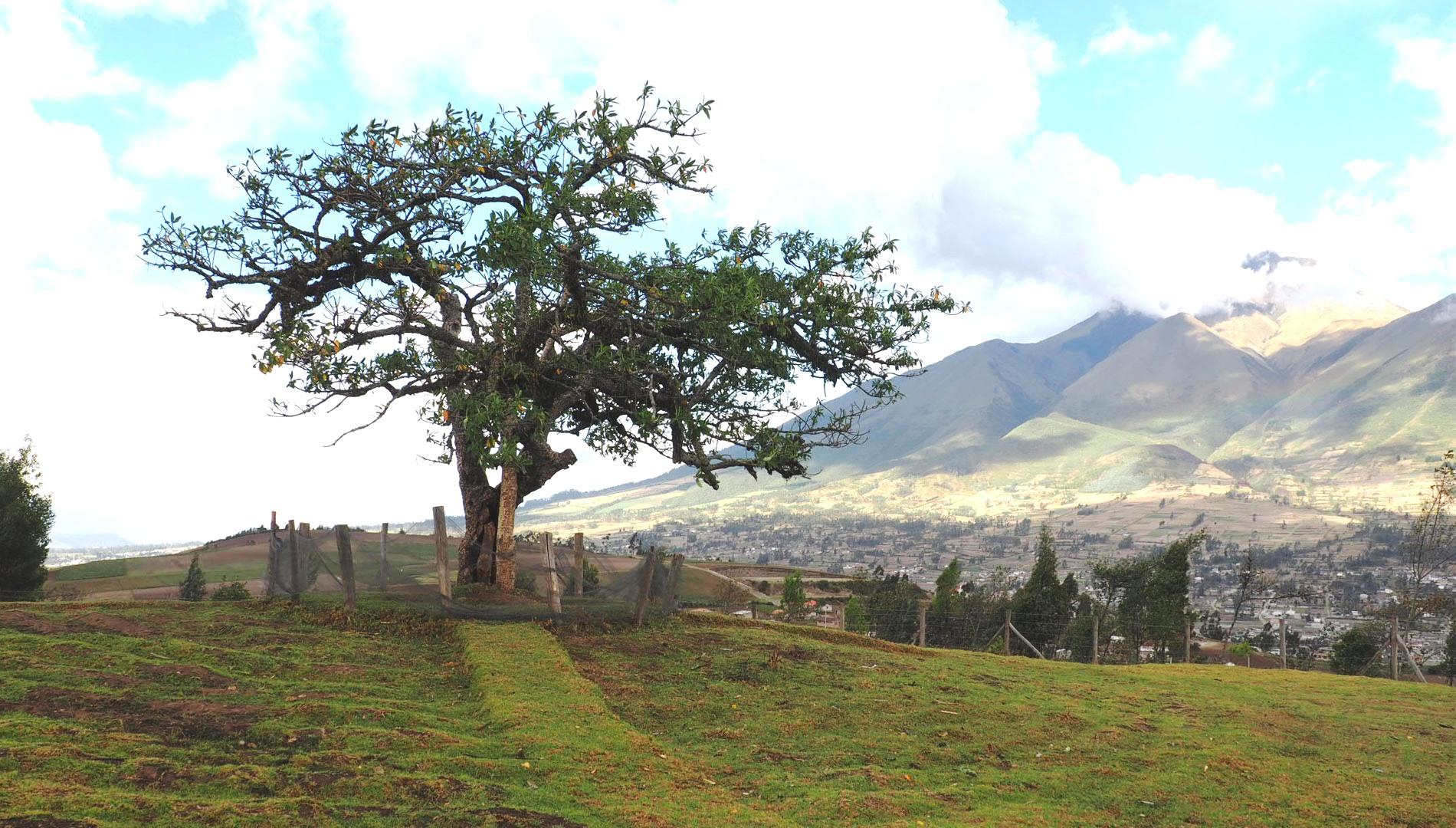 Voyage en Equateur au pied des Géants