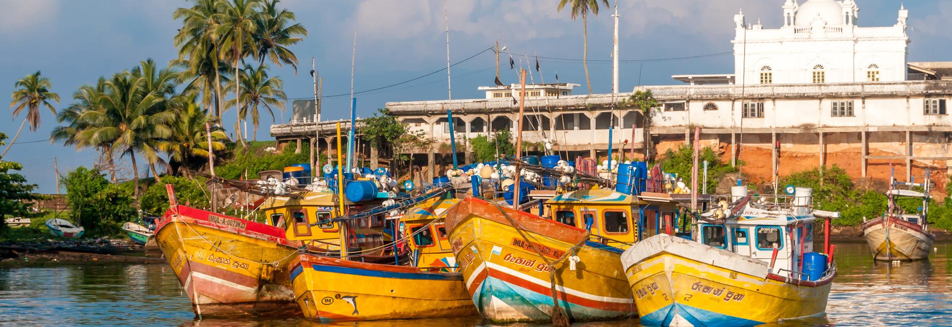 Sri Lanka, port de pêche
